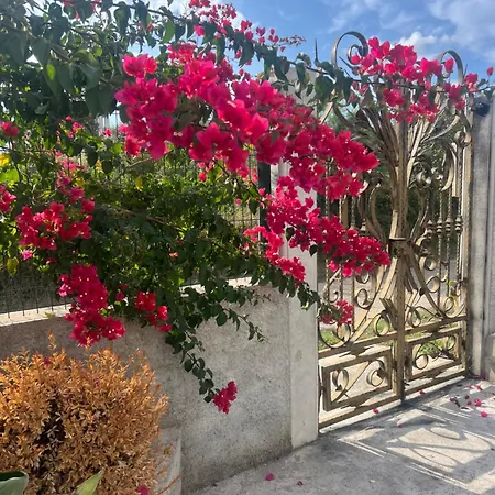 Saimir House * Vlorë