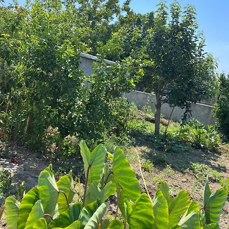 아파트 Besa House Vlorë