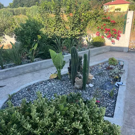 Besa House 아파트 *