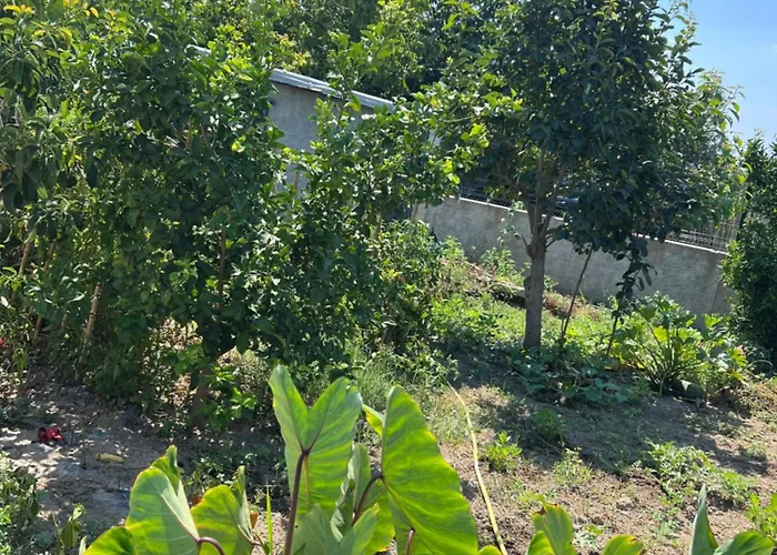 아파트 Besa House Vlorë