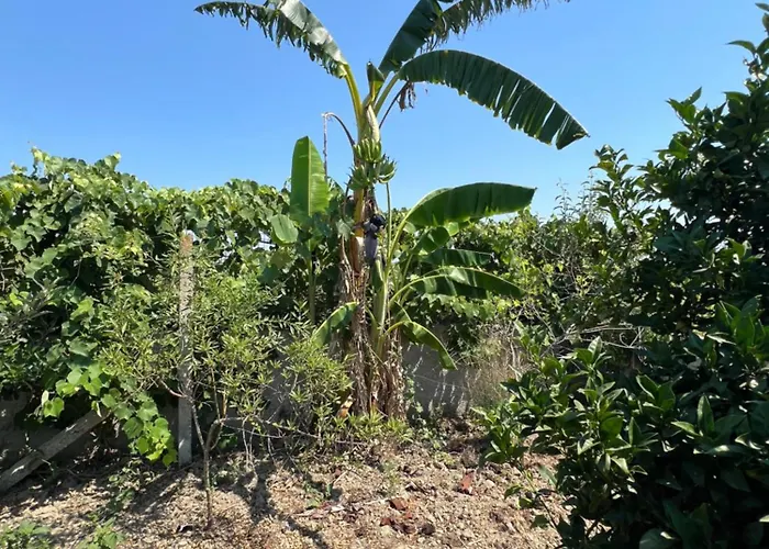 Besa House 아파트 Vlorë